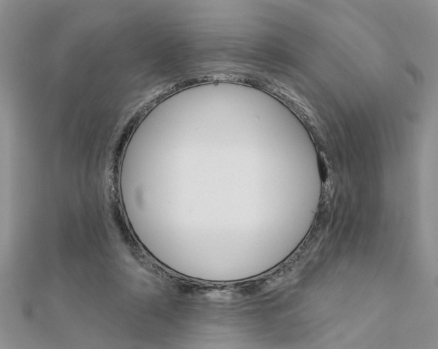 X0000112920306200908241037