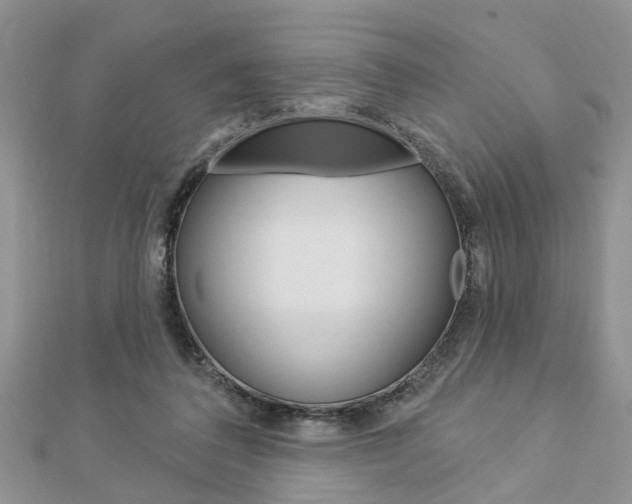 X0000112920308200908241037