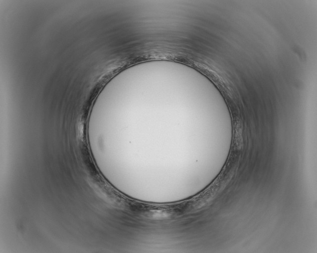 X0000112920310200908241037