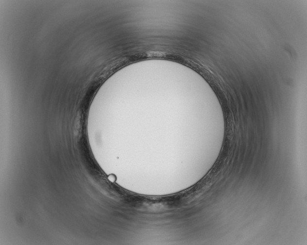 X0000112920311200908241037