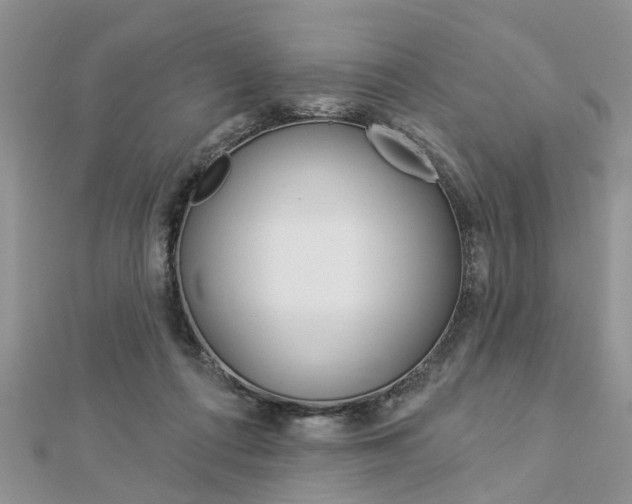 X0000112920312200908241037