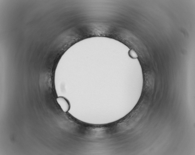 X0000112920313200908241037
