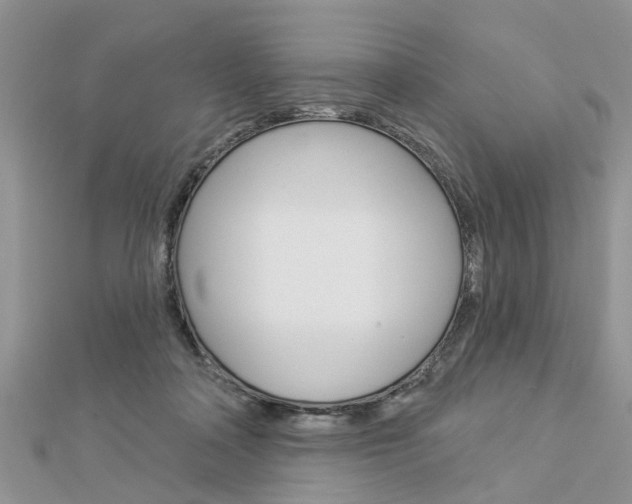 X0000112920314200908241037
