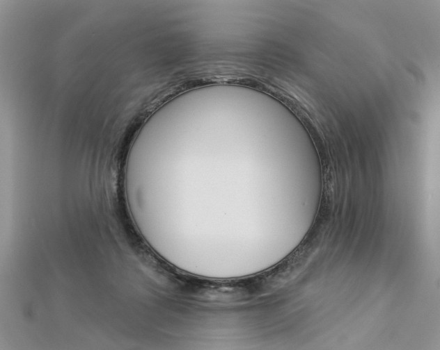 X0000112920315200908241037