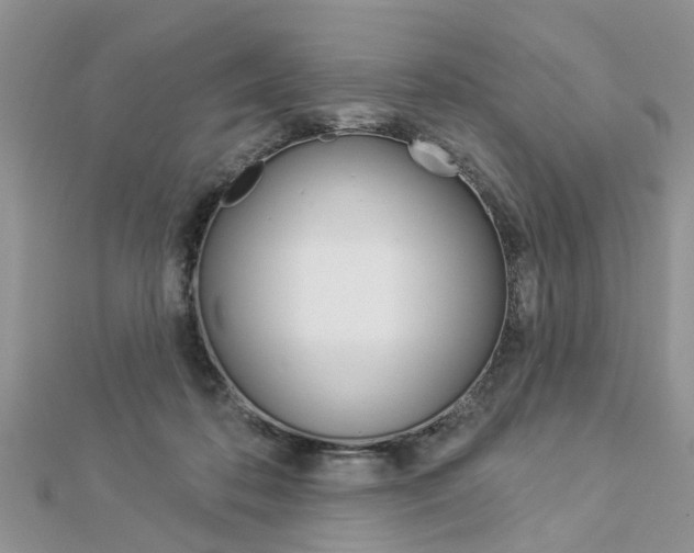 X0000112920316200908241037