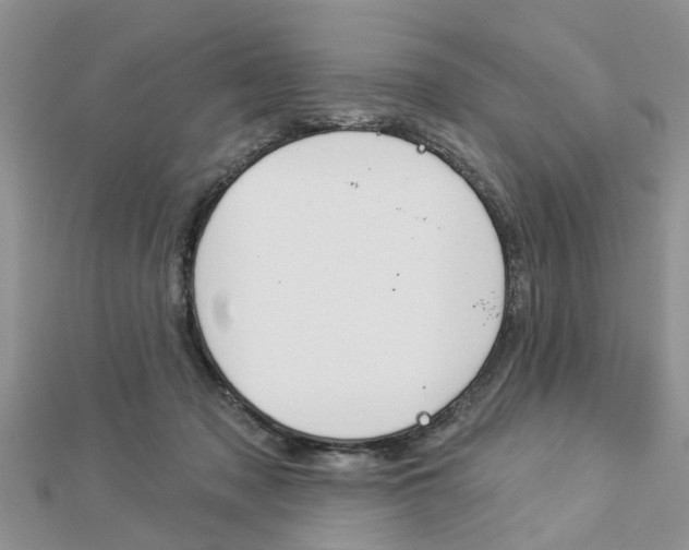 X0000112920317200908241037
