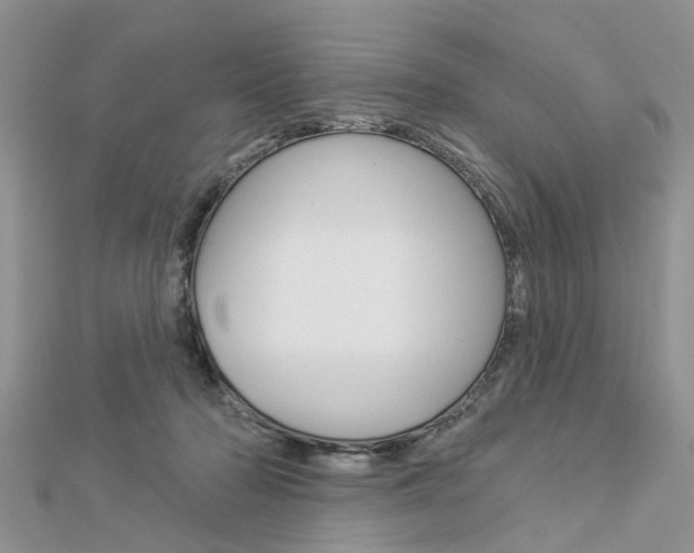 X0000112920318200908241037