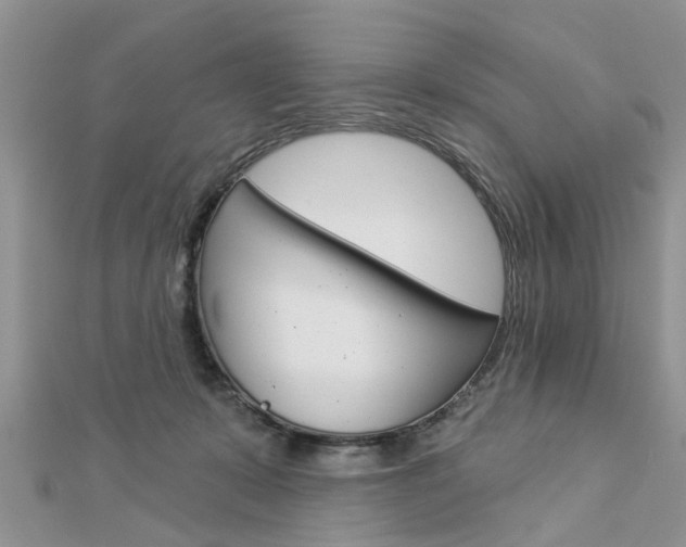 X0000112920319200908241037