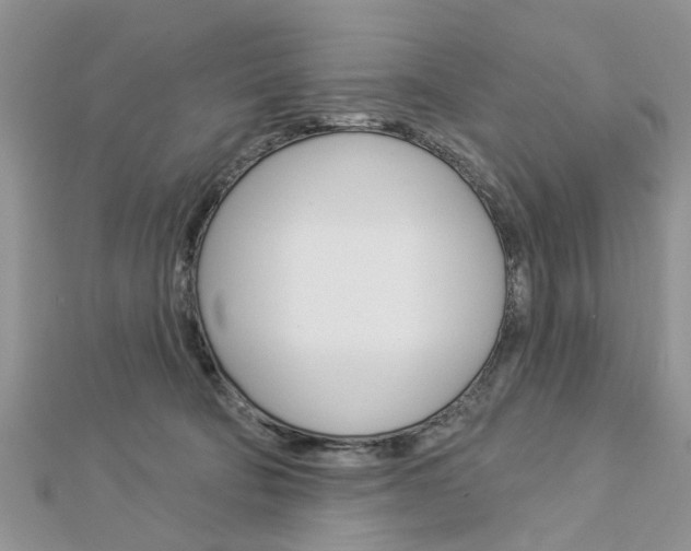 X0000112920322200908241037
