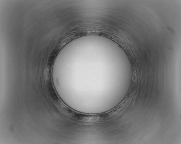 X0000112920323200908241037