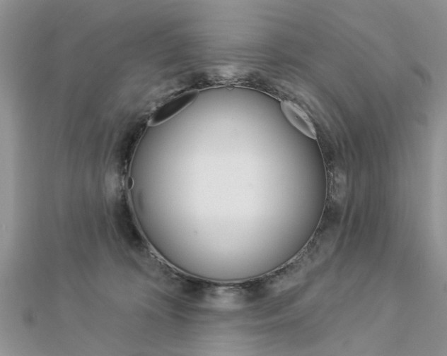 X0000112920324200908241037