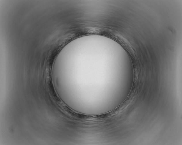 X0000112920325200908241037