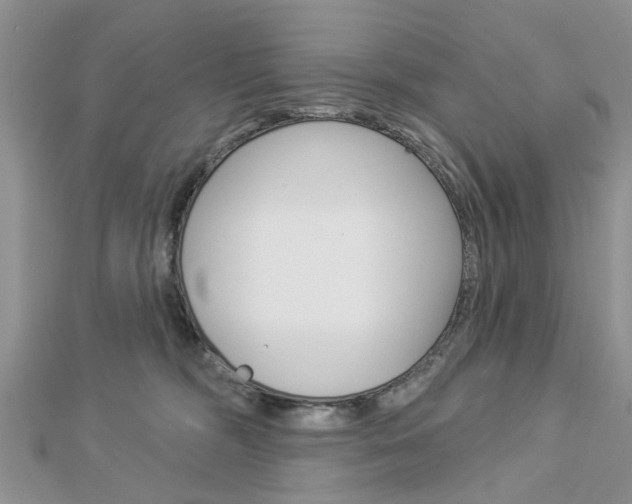 X0000112920326200908241037