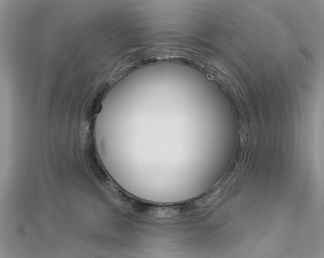 X0000112920327200908241037