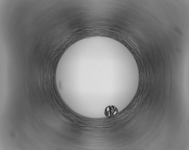 X0000112920328200908241037