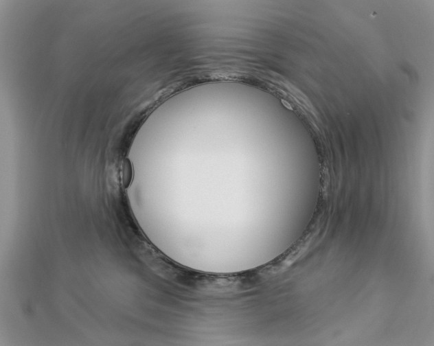 X0000112920329200908241037