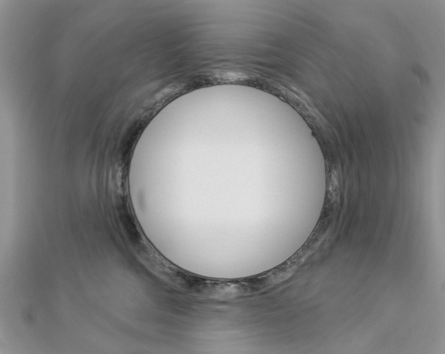 X0000112920330200908241037