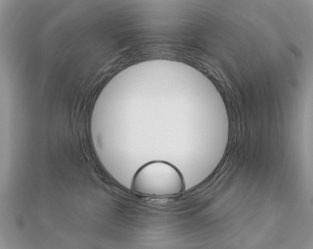 X0000112920332200908241037