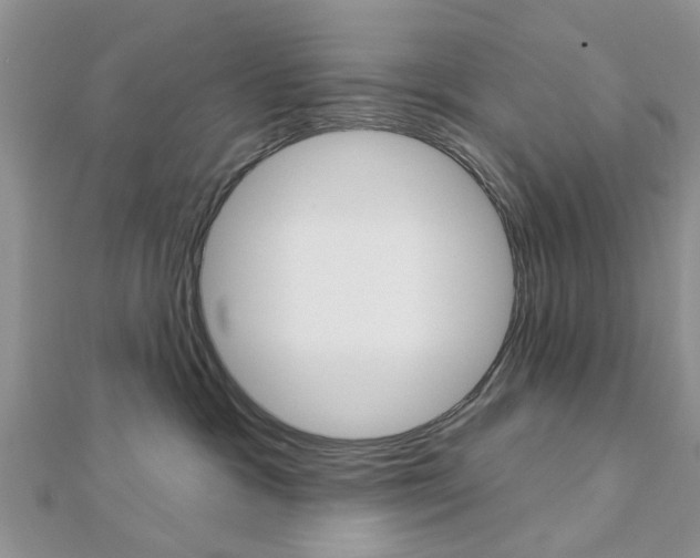 X0000112920333200908241037
