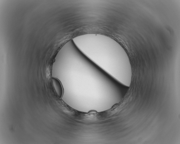 X0000112920335200908241037