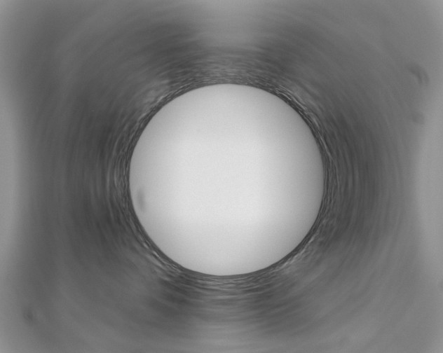 X0000112920336200908241036