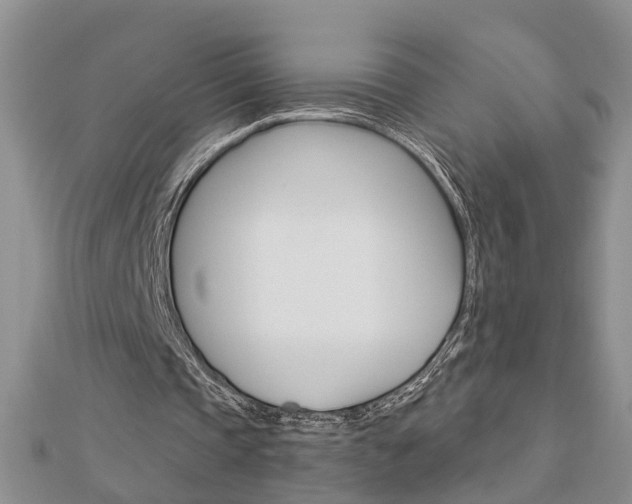X0000112920337200908241036