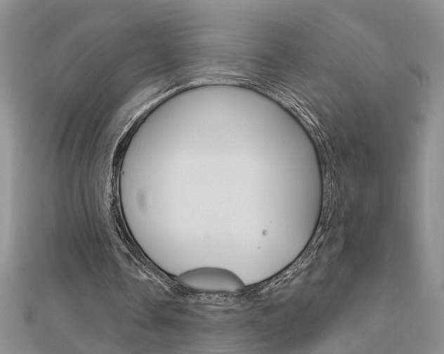 X0000112920338200908241036
