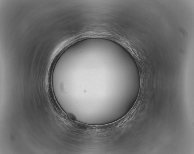 X0000112920340200908241036
