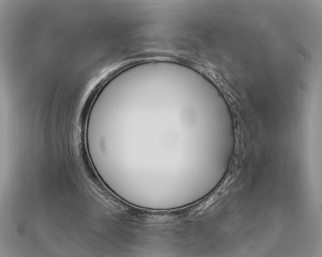 X0000112920342200908241036