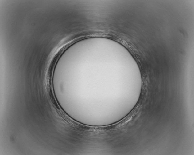 X0000112920343200908241036