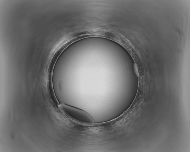 X0000112920344200908241036