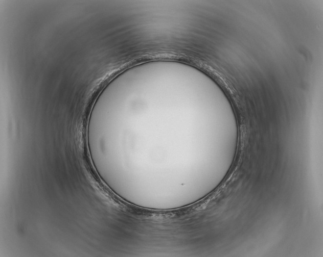 X0000112920345200908241036