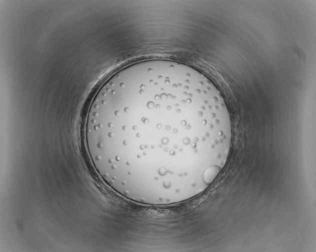 X0000112920346200908241036