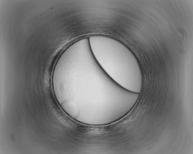 X0000112920347200908241036
