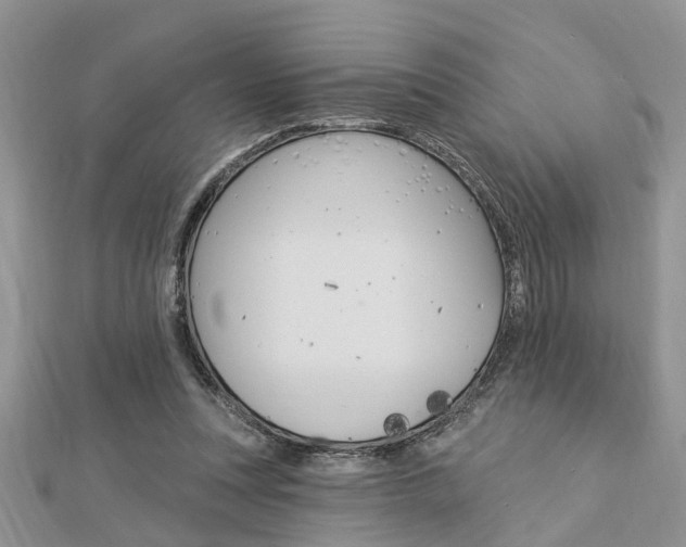 X0000112920351200908241036