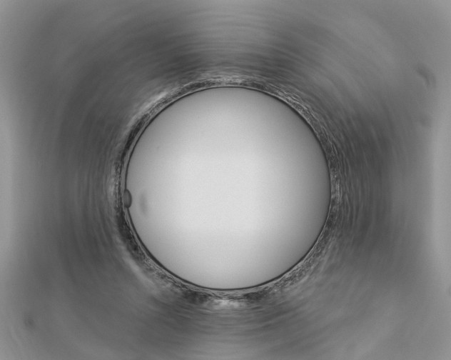 X0000112920352200908241036