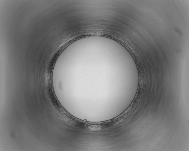 X0000112920355200908241036