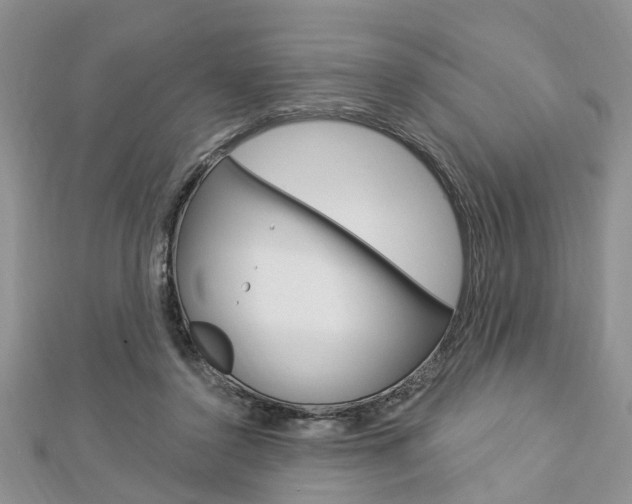 X0000112920356200908241036