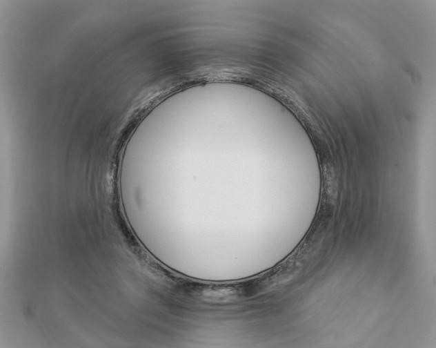 X0000112920357200908241036