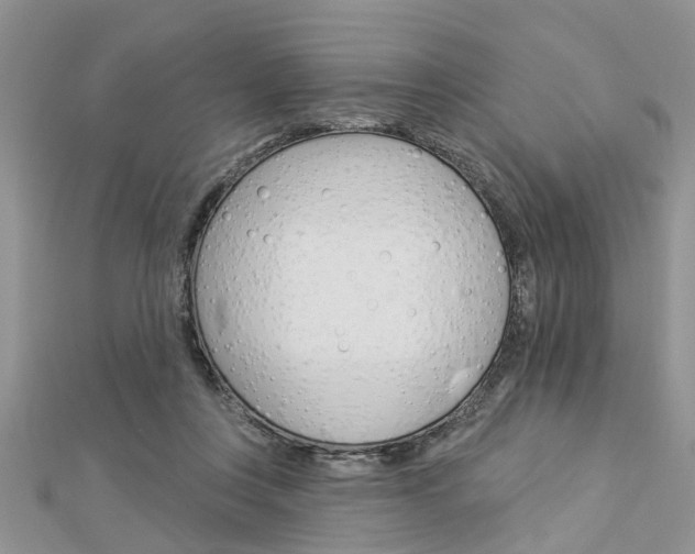 X0000112920359200908241036