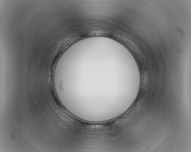 X0000112920361200908241036