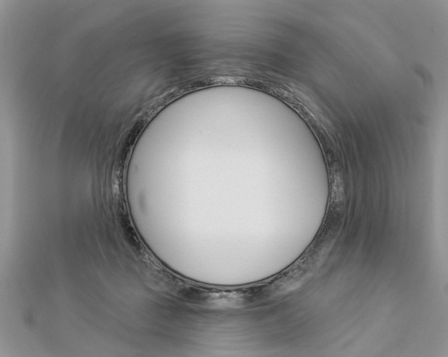 X0000112920363200908241036