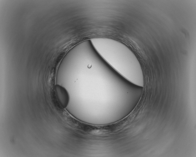 X0000112920364200908241036