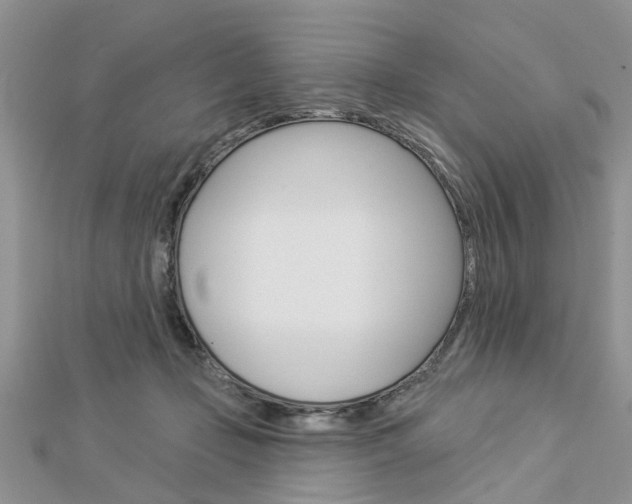 X0000112920365200908241036