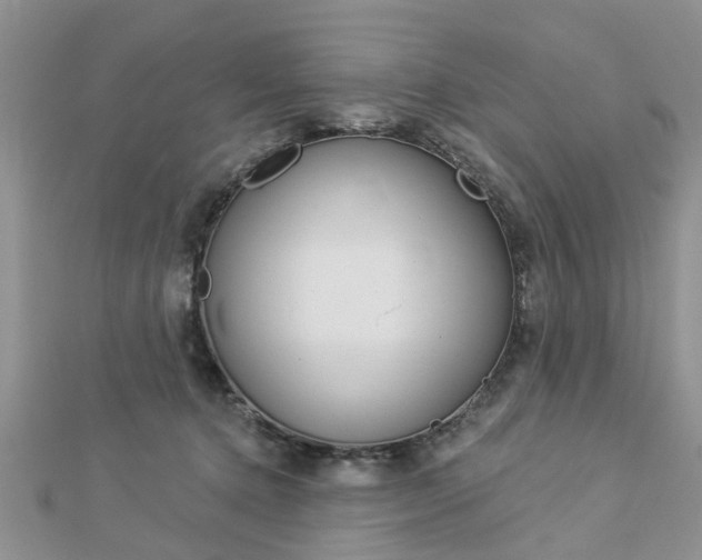 X0000112920368200908241036