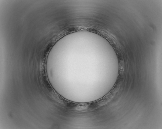X0000112920369200908241036