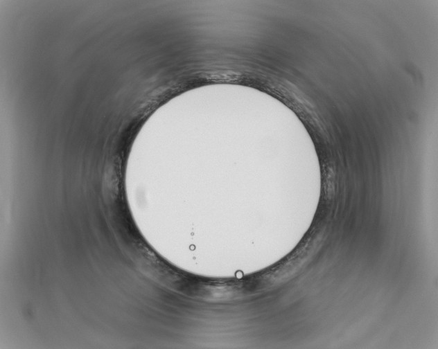 X0000112920370200908241036