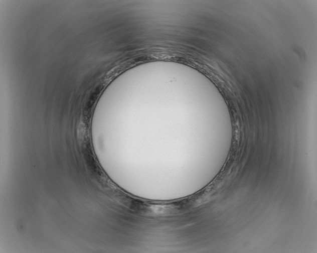 X0000112920371200908241036