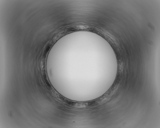 X0000112920373200908241036