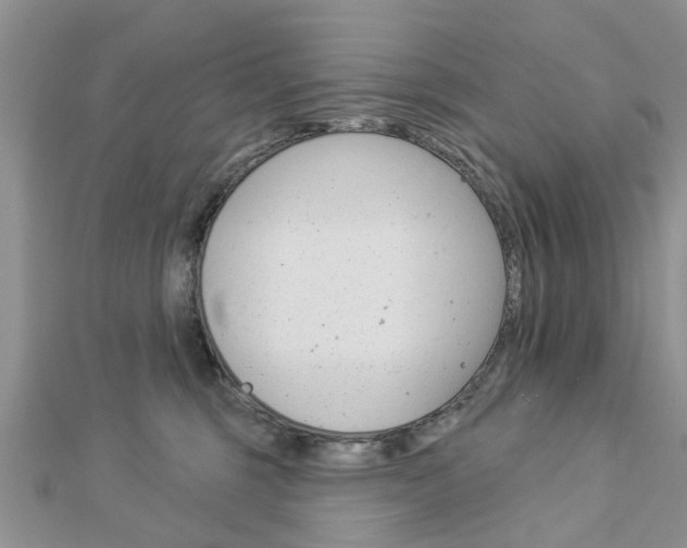 X0000112920375200908241036